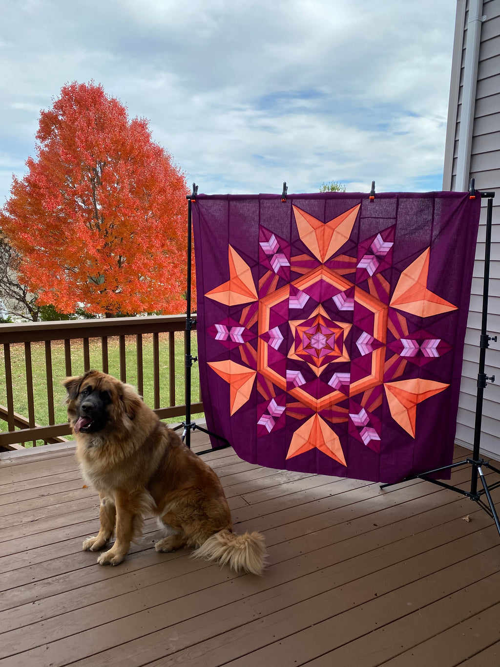 Solstice - Autumn Kit